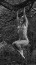 John Daniels - Nude by tree
