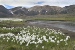 John Daniels - Iceland landscape